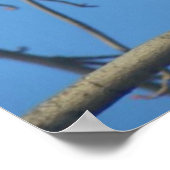 Kardinaal Vrouw/vogel Poster (Hoek)