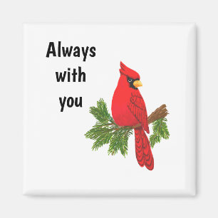 Kardinale magneet, altijd bij je, vogel, sympathie magneet