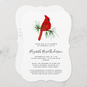 Kardinale viering van de uitnodiging tot leven