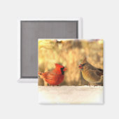 Kardinale vogels in het najaar van Magnet Magneet (Voorkant / Achterkant)