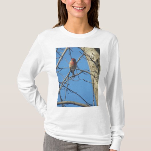 Kardinale vogels t-shirt (Voorkant)