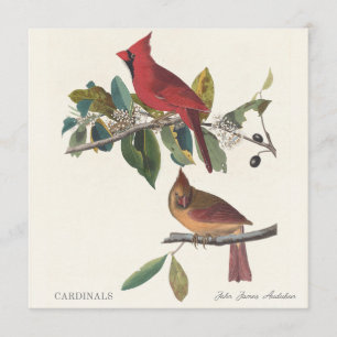 Kardinalen door John James Audubon