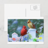 Kardinalen en kerstlichten feestdagenkaart (Voorkant / Achterkant)