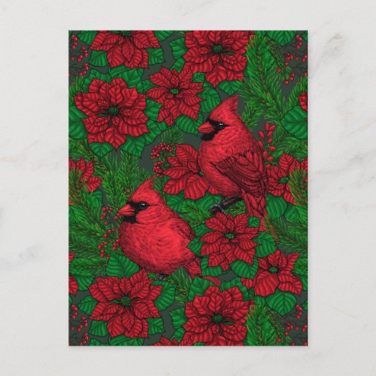 Kardinalen en poinsettia voor kerstmis briefkaart (Voorkant)