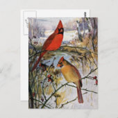 Kardinalen in de winter briefkaart (Voorkant / Achterkant)
