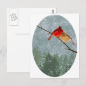 kardinalen in de winter briefkaart (Voorkant / Achterkant)