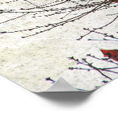 Kardinalen in een boomgaard poster (Hoek)