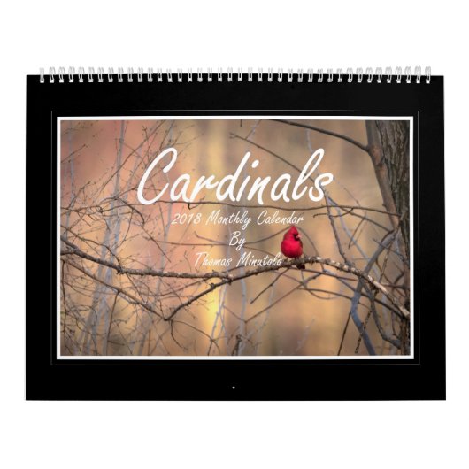 Kardinalen Maandelijkse kalender 2018 door Thomas  (Hoes)