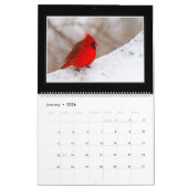 Kardinalen Maandelijkse kalender 2018 door Thomas  (Jan 2026)