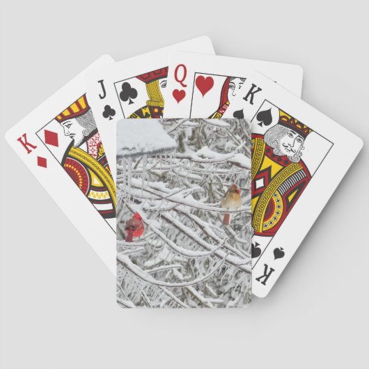 Kardinalen Pokerkaarten (Achterkant)