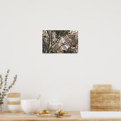 Kardinalen Poster (Keuken)