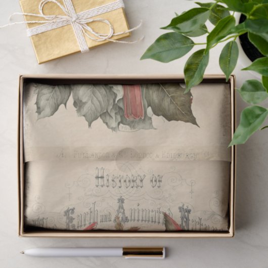 Kardinalen Tissuepapier (Geschenk)