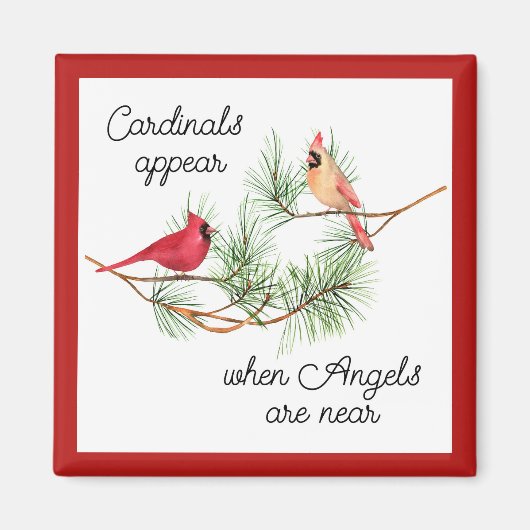 Kardinalen verschijnen als engelen in de buurt van magneet (Voorkant)