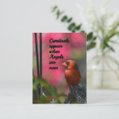 Kardinalen verschijnen wanneer engelen in de buurt briefkaart (Staand voorkant)