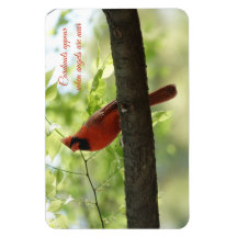 Kardinalen verschijnen wanneer engelen in de buurt