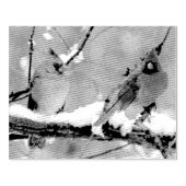 kardinalen voor mannetjes en vrouwen 	rubberstempel (Afrduk)