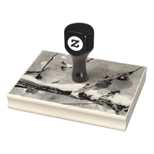 kardinalen voor mannetjes en vrouwen 	rubberstempel (Stempel)