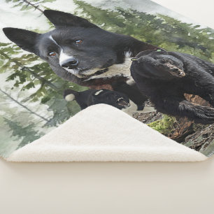 Karelian Beer Dog Sherpa Deken