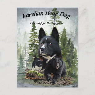 Karelische berenhond     briefkaart