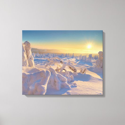 Karkonosze Mountains, Nationaal Park Canvas Afdruk (Voorkant)