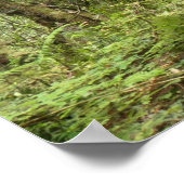 Karl Knapp Trail Poster (Hoek)