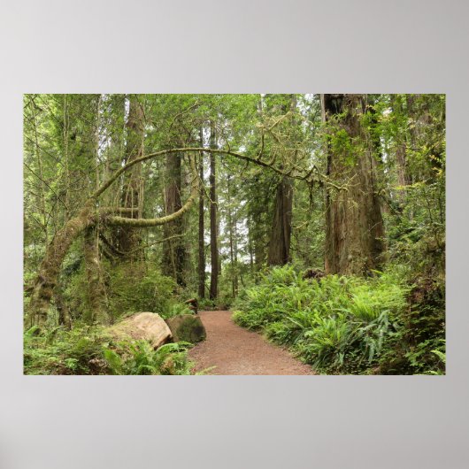 Karl Knapp Trail Poster (Voorkant)