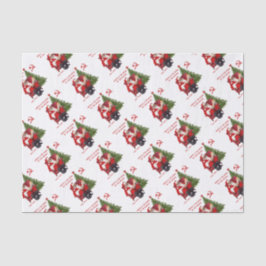 Karl Marx Santa Tissuepapier