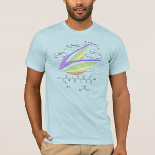 KARL-peptide, AUC-thema, aangepaste tekst, licht T-shirt