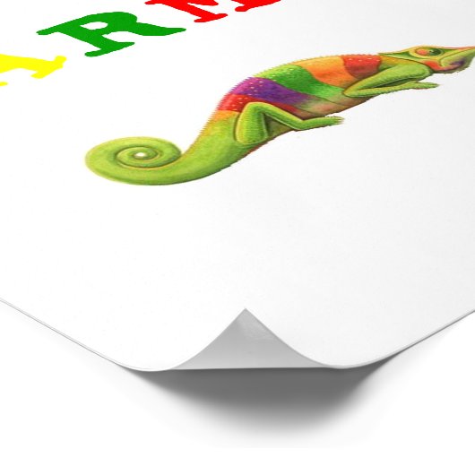 KARMA KAMELEON POSTER (Hoek)