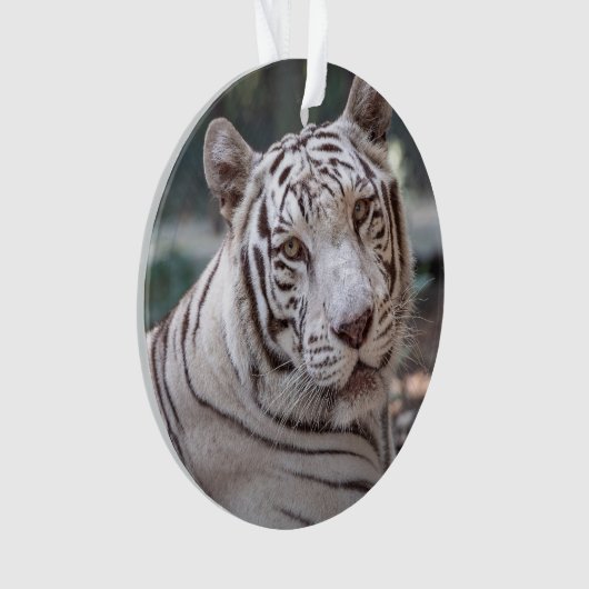 Karma - ornament (voorkant)