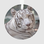 Karma - ornament (achterkant)