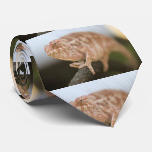 Karma Stropdas (Opgerold)