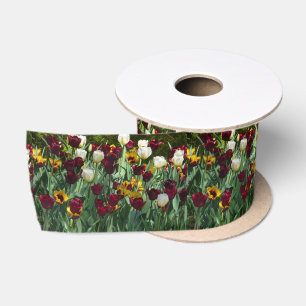Karmozijnrode en Gele Tulpen Kleurrijke Bloemen Lint