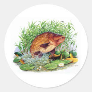 Karper Gevist Ronde Sticker