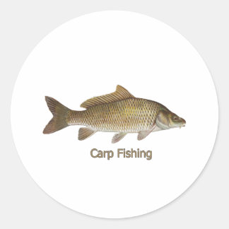 Karper Gevist Ronde Sticker