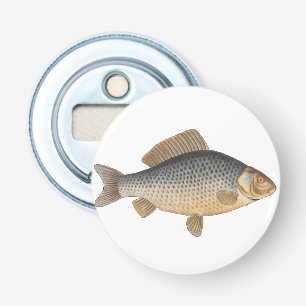 Karper vissen schilderen zoetwater tekening button flesopener