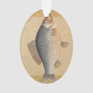 Karper vissen schilderen zoetwater tekening  ornament