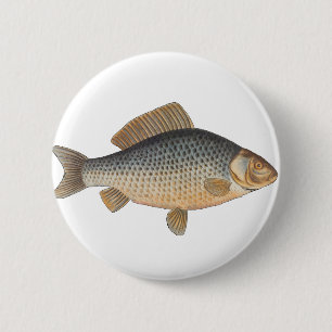 Karper vissen schilderen zoetwater tekening  ronde button 5,7 cm