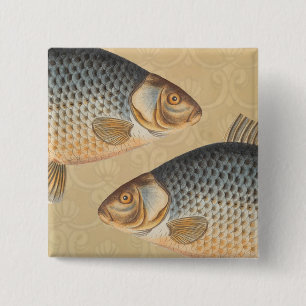 Karper vissen vissen schilderen zoetwater tekening vierkante button 5,1 cm