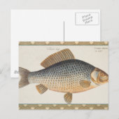 Karpervisvisserij schilderij zoetwater briefkaart (Voorkant / Achterkant)