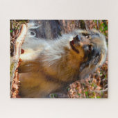 Karst Shepherd Dog. Legpuzzel (Horizontaal)