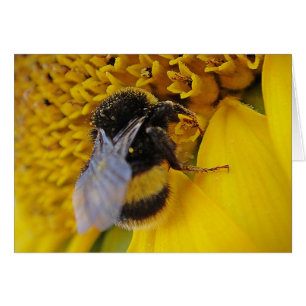Karte Fleissige Hummel : Bonne journée ensoleillée