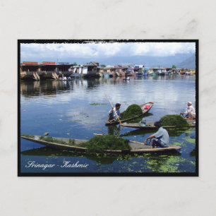 Kashmir, Srinagar - Dal Lake / India-vakantie Briefkaart
