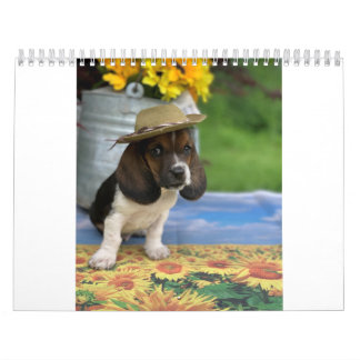 Kassethafkalender met tiny E Kalender
