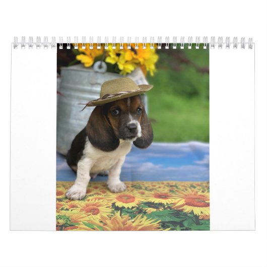 Kassethafkalender met tiny E Kalender (Hoes)