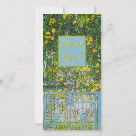 KASSTROOMSTROMEN EN BABY-BLAUWE GATE BEDANKKAART (Voorkant)