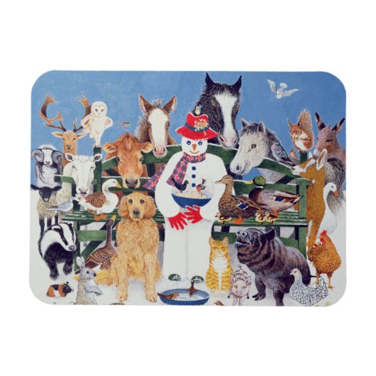 Kast Magneet (Horizontaal)