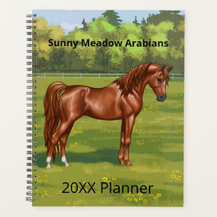 Kastanje Arabisch paard uit Egypte in het voorjaar Planner