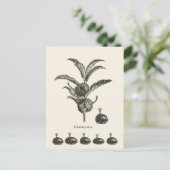 kastanje briefkaart (Staand voorkant)