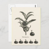 kastanje briefkaart (Voorkant / Achterkant)